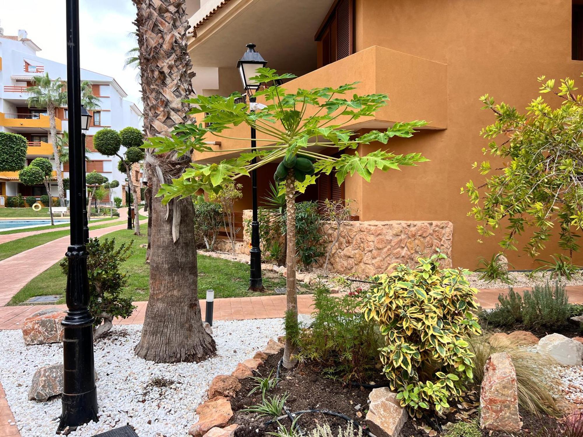 Punta Prima - Sun & Beach & Golf & Bike - Spanish South-Facing Terrace Apartment - La Recoleta - By The Sea تورّيفيِخا المظهر الخارجي الصورة